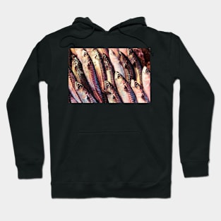 FIshy Fishy Hoodie